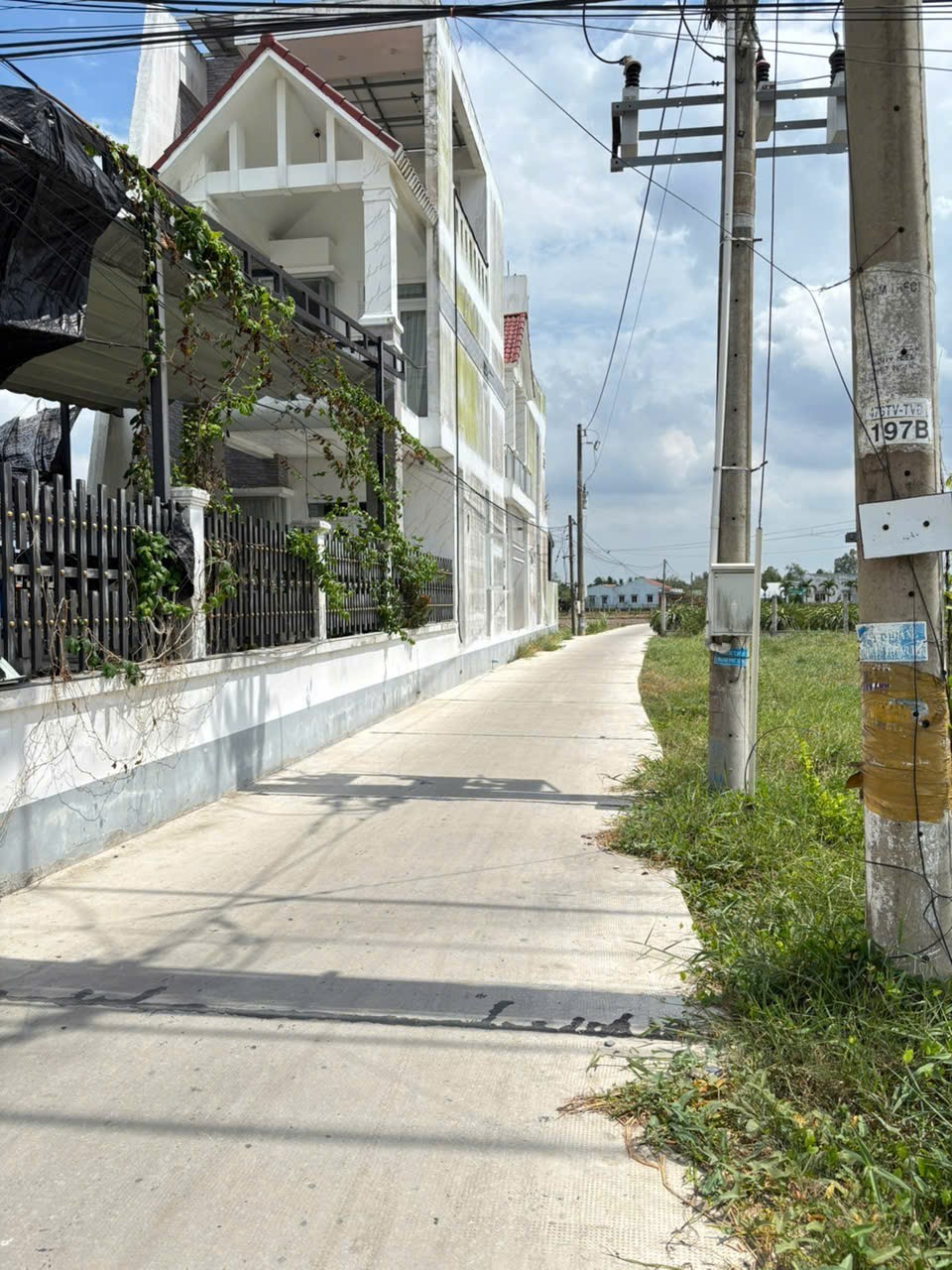 Bán Đất 4275m2 có sẵn 3730 m2 thổ cư giá 5 tỷ tại Xã Thanh Phú Long Huyện Châu Thành Long An - Ảnh 2