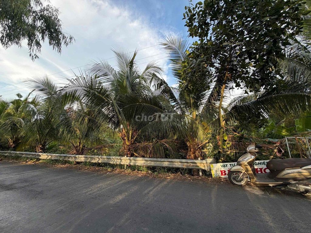 CHÍNH CHỦ BÁN 13.600M2 ĐẤT VƯỜN SẦU RIÊNG ĐANG THU HOẠCH - TP. CAO LÃN - Ảnh 3