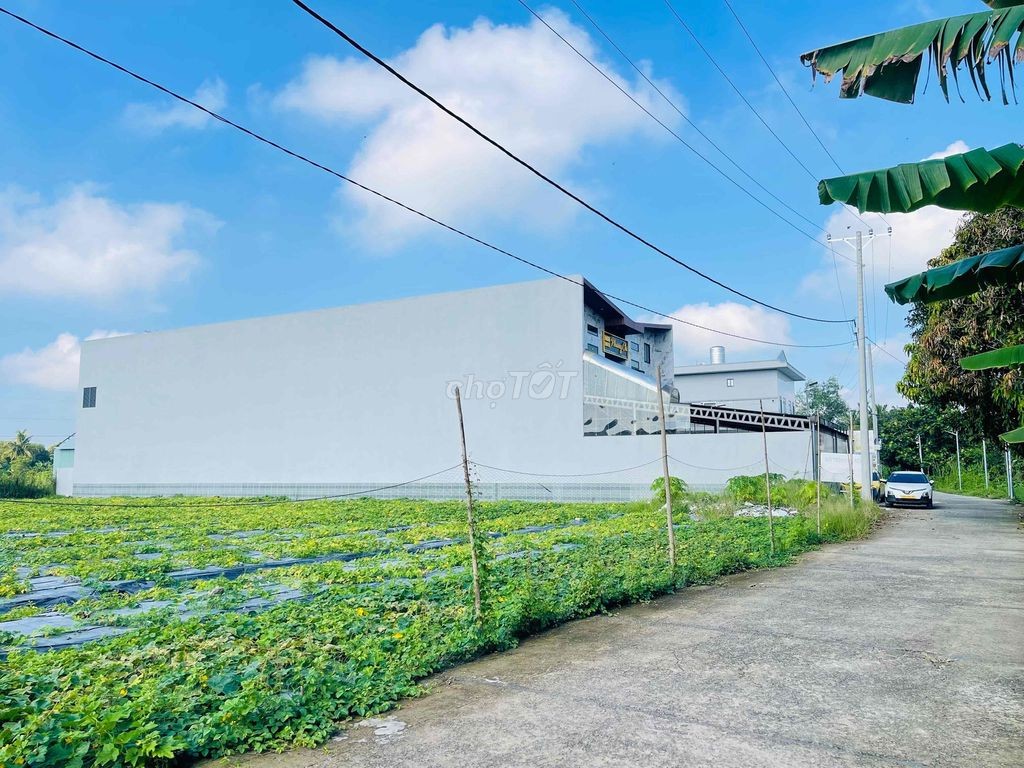 BÁN CẶP NỀN 300m2 THỔ CƯ - XÂY DỰNG TRỌ (ĐỐI DIỆN ĐH NAM CẦN THƠ). - Ảnh 2