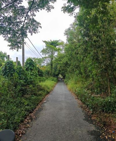 Bán Đất Vườn 872m² Mặt Tiền Lộ Nhựa Cái Dung, Mỹ Thạnh – Ngang 16m, Gần KCN Vàm Cống. - Ảnh 2