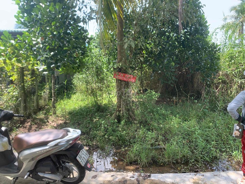 Bán đất nền 106m2 , xã Tân Thuận Đông, Đồng tháp. - Ảnh 2