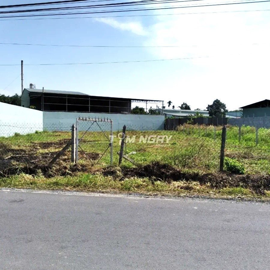 [NGỘP] BÁN 3.000M2 ĐẤT MT NHỰA GẦN CHỢ, SHR, DÂN ĐÔNG GỌI 0969.950.161 - Ảnh 1