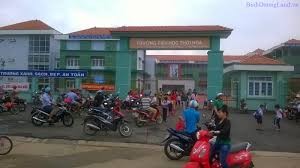 CHỦ NGỘP BÁN LÔ ĐẤT 250M2 NGAY TRƯỜNG HỌC - CHỢ - KCN VÀ 1400m2 CÓ SẴN VƯỜN MÍT - Ảnh 2