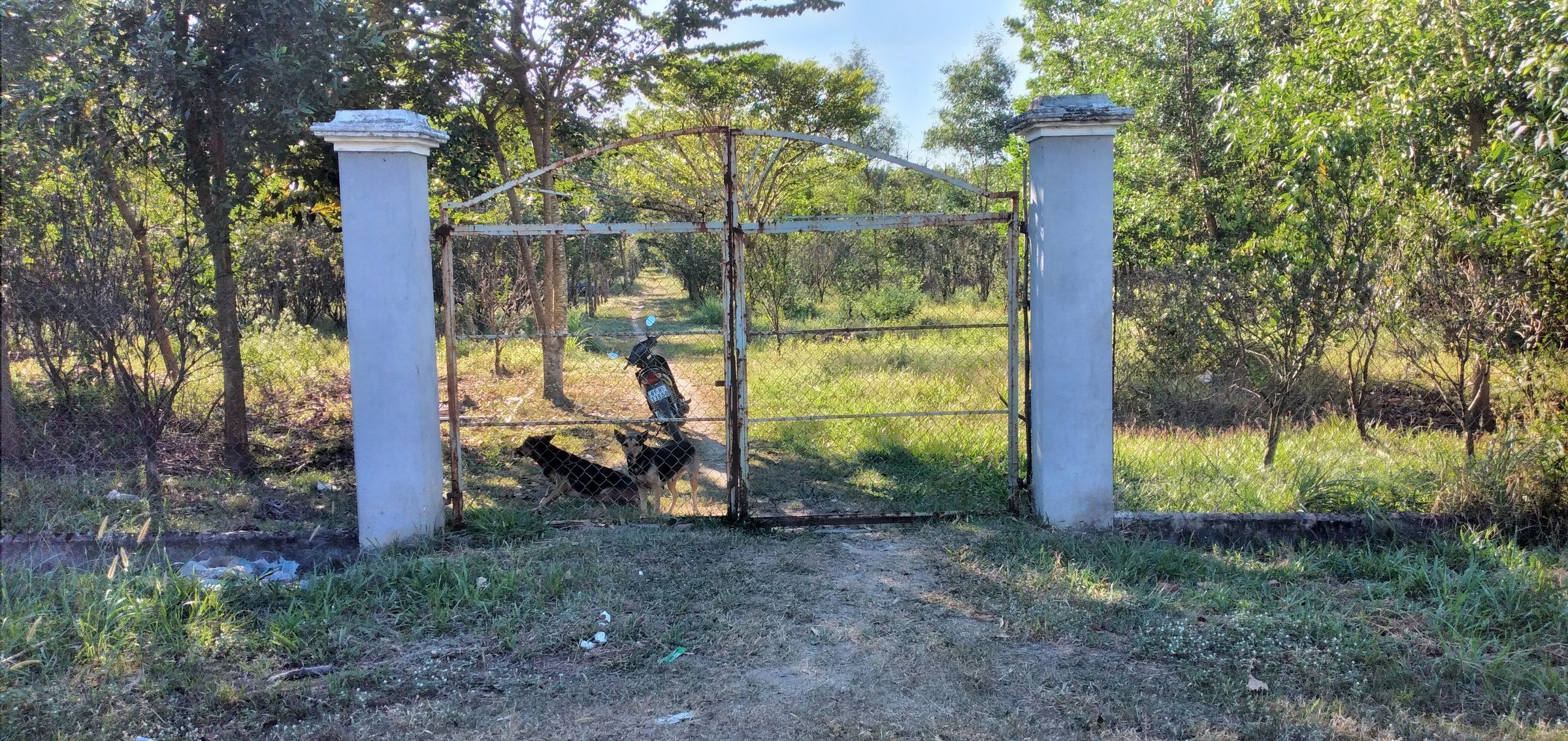Bán Đất 13300m2 có sẵn 600 m2 thổ cư giá 9 tỷ tại Đường tỉnh 749A - Chọn - Xã Long Hòa TP. Hồ Chí Minh - Ảnh 4