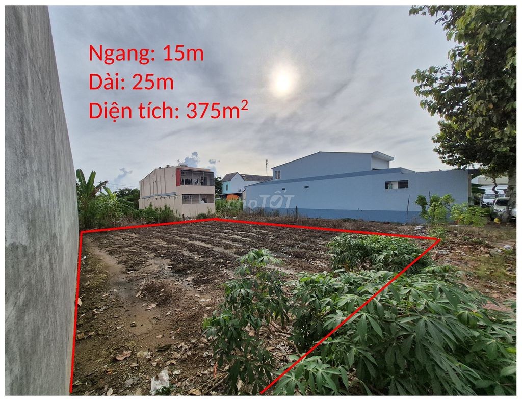 Cho thuê đất nền gần Khu Công nghiệp Hoà Phú - Vĩnh Long - Ảnh 2