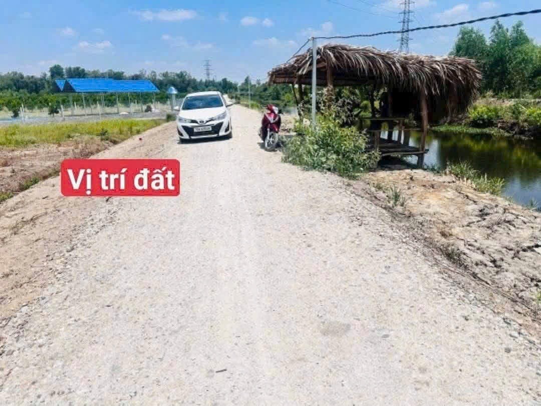 🏡 ĐẤT THỔ CƯ KẾT HỢP VƯỜN VIEW KÊNH – THẠNH HÒA, BẾN LỨC 📐 Diện tích: 500m²/lô, gồm 120m² đất thổ cư. - Ảnh 5