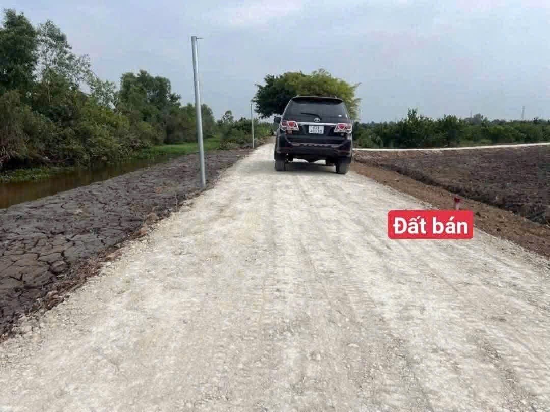 🏡 ĐẤT THỔ CƯ KẾT HỢP VƯỜN VIEW KÊNH – THẠNH HÒA, BẾN LỨC 📐 Diện tích: 500m²/lô, gồm 120m² đất thổ cư. - Ảnh 6