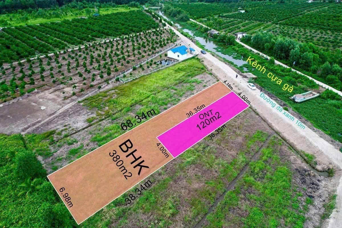 🏡 ĐẤT THỔ CƯ KẾT HỢP VƯỜN VIEW KÊNH – THẠNH HÒA, BẾN LỨC 📐 Diện tích: 500m²/lô, gồm 120m² đất thổ cư. - Ảnh 7