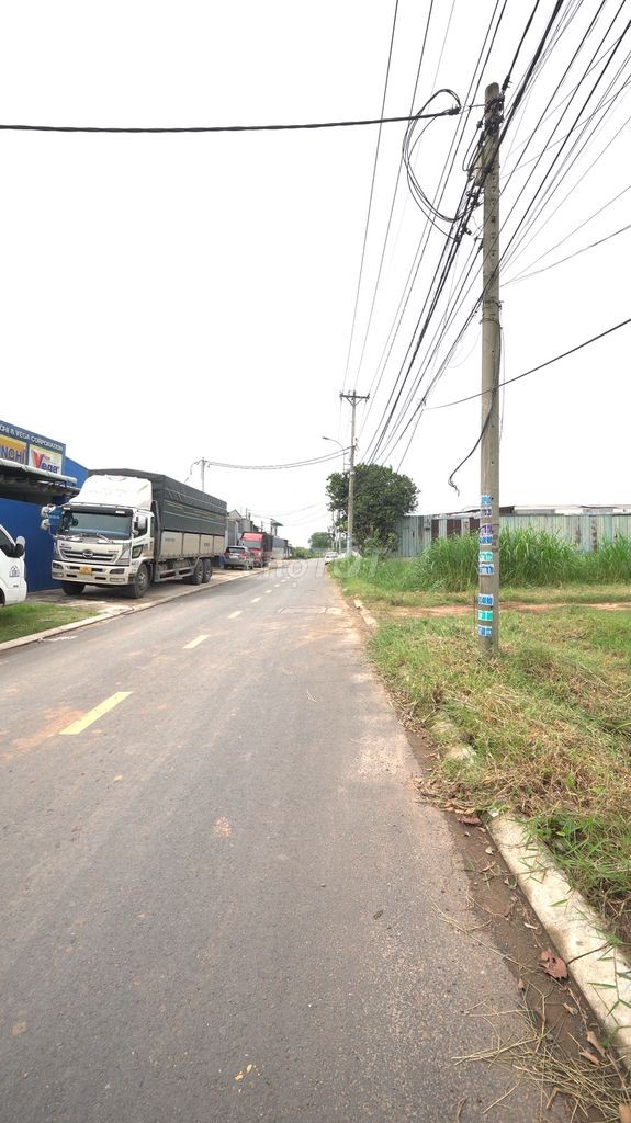 Cho thuê 1000 m2, 2000 m2 (tùy nhu cầu) để trồng rau. Giá 4 tr/1000 m2 - Ảnh 2