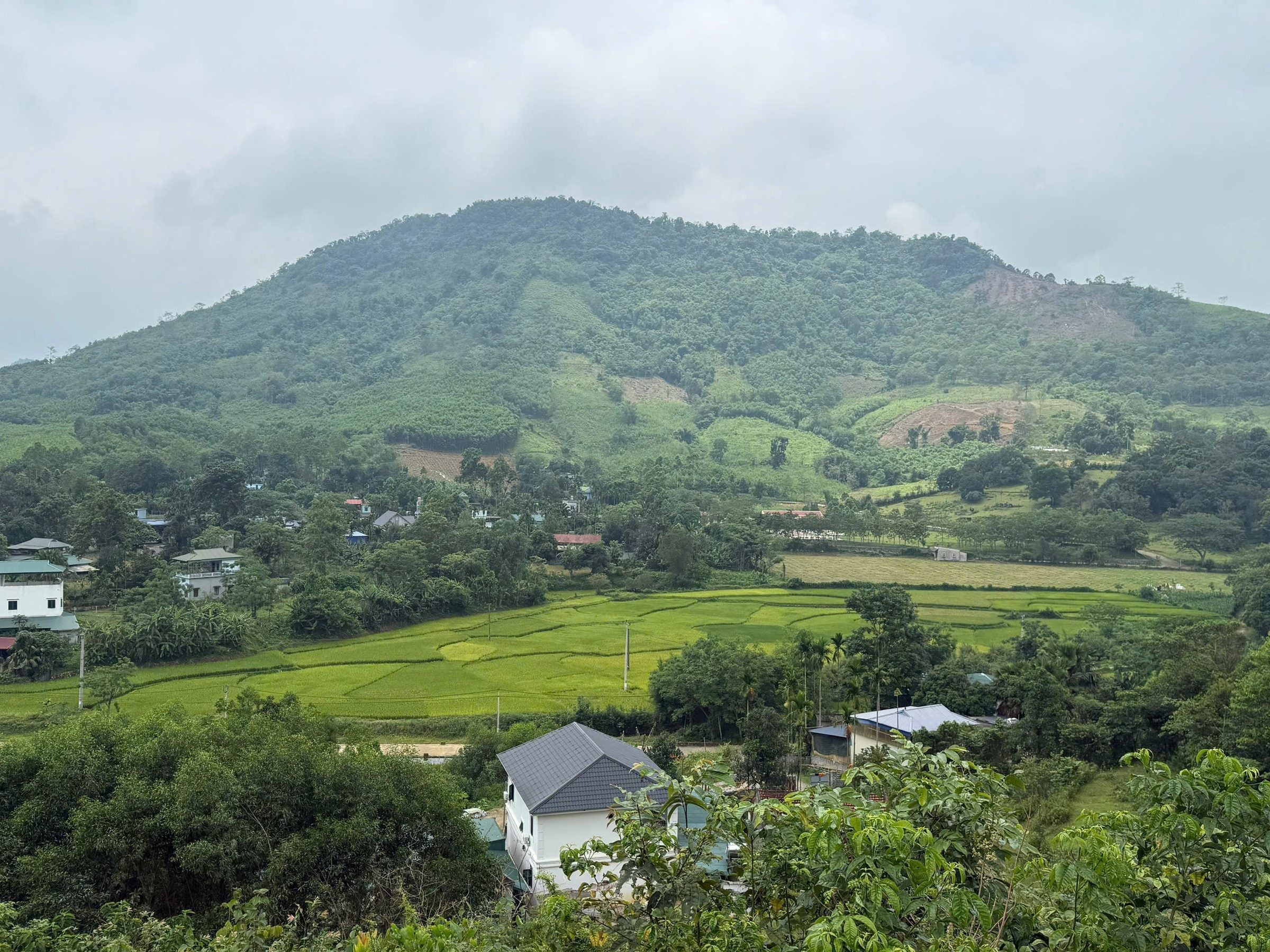 🔥 1,8HA GIÁ CHỈ NHỈNH 2 TỶ - ĐẤT NGHỈ DƯỠNG KIM BÔI - HÒA BÌNH 🔥 - Ảnh 1