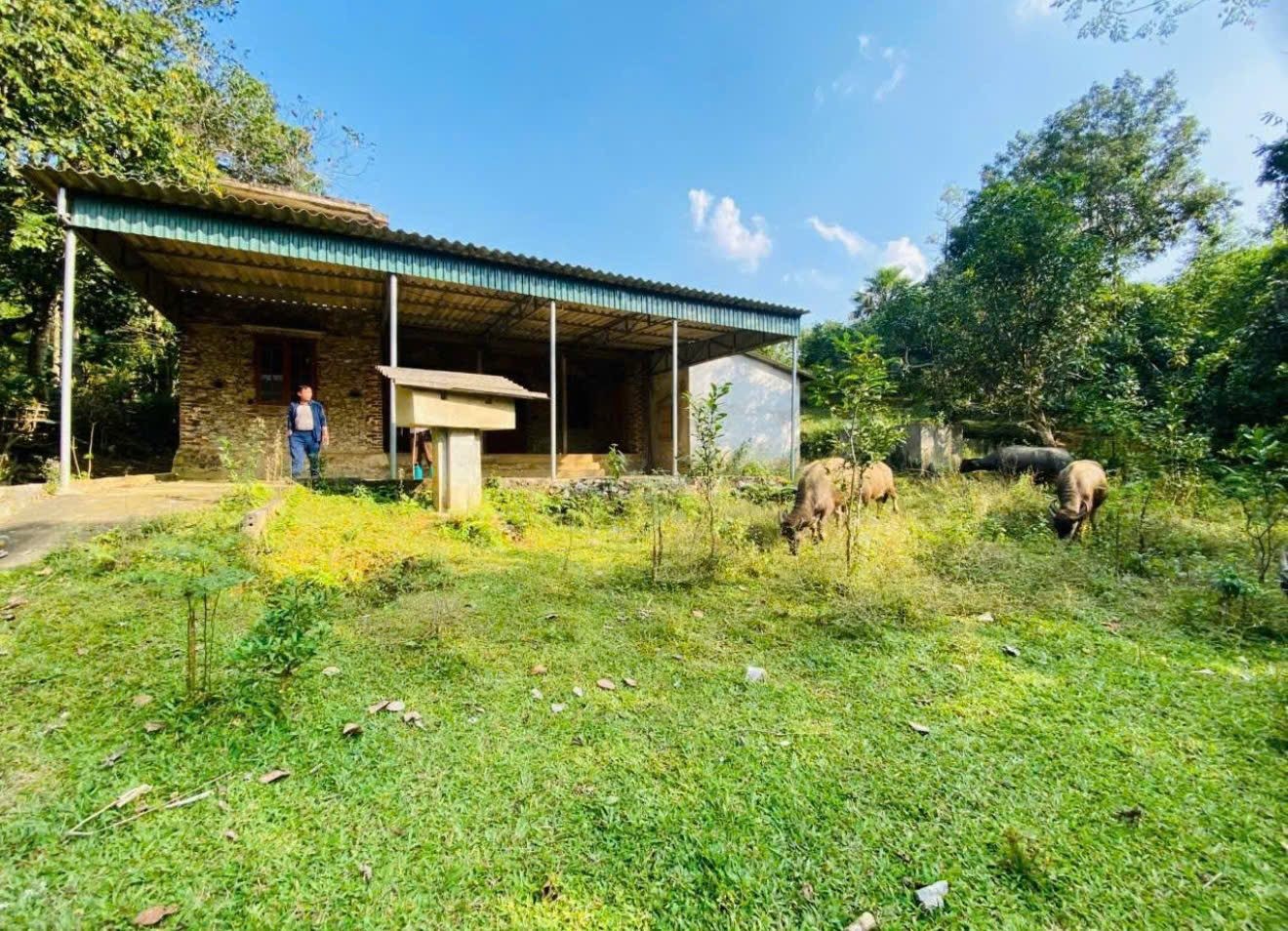 🔥 1,8HA GIÁ CHỈ NHỈNH 2 TỶ - ĐẤT NGHỈ DƯỠNG KIM BÔI - HÒA BÌNH 🔥 - Ảnh 3