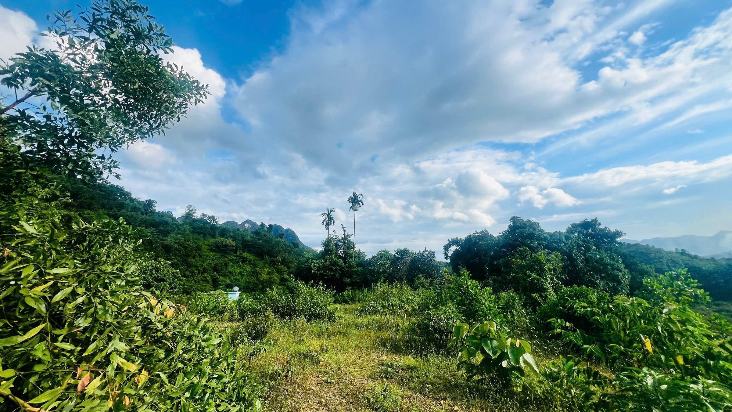 CHÍNH CHỦ BÁN LÔ ĐẤT CỰC ĐẸP – VIEW TOÀN CẢNH NÚI ĐÁ, CÁNH ĐỒNG 🏞 📍 Cách Hà Nội chỉ 70km – Giao thông thuận tiện - Ảnh 1