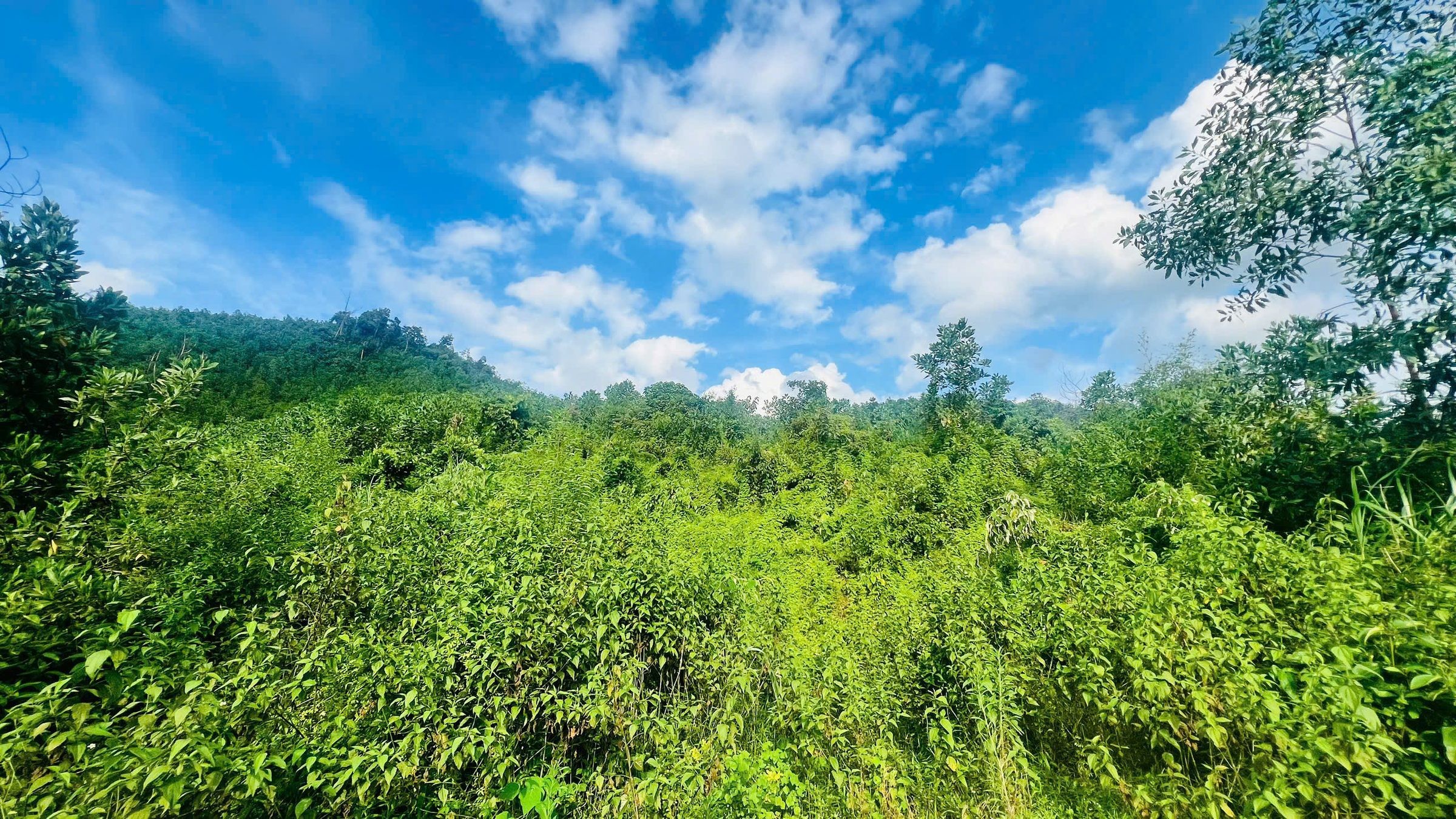 CHÍNH CHỦ BÁN LÔ ĐẤT CỰC ĐẸP – VIEW TOÀN CẢNH NÚI ĐÁ, CÁNH ĐỒNG 🏞 📍 Cách Hà Nội chỉ 70km – Giao thông thuận tiện - Ảnh 2