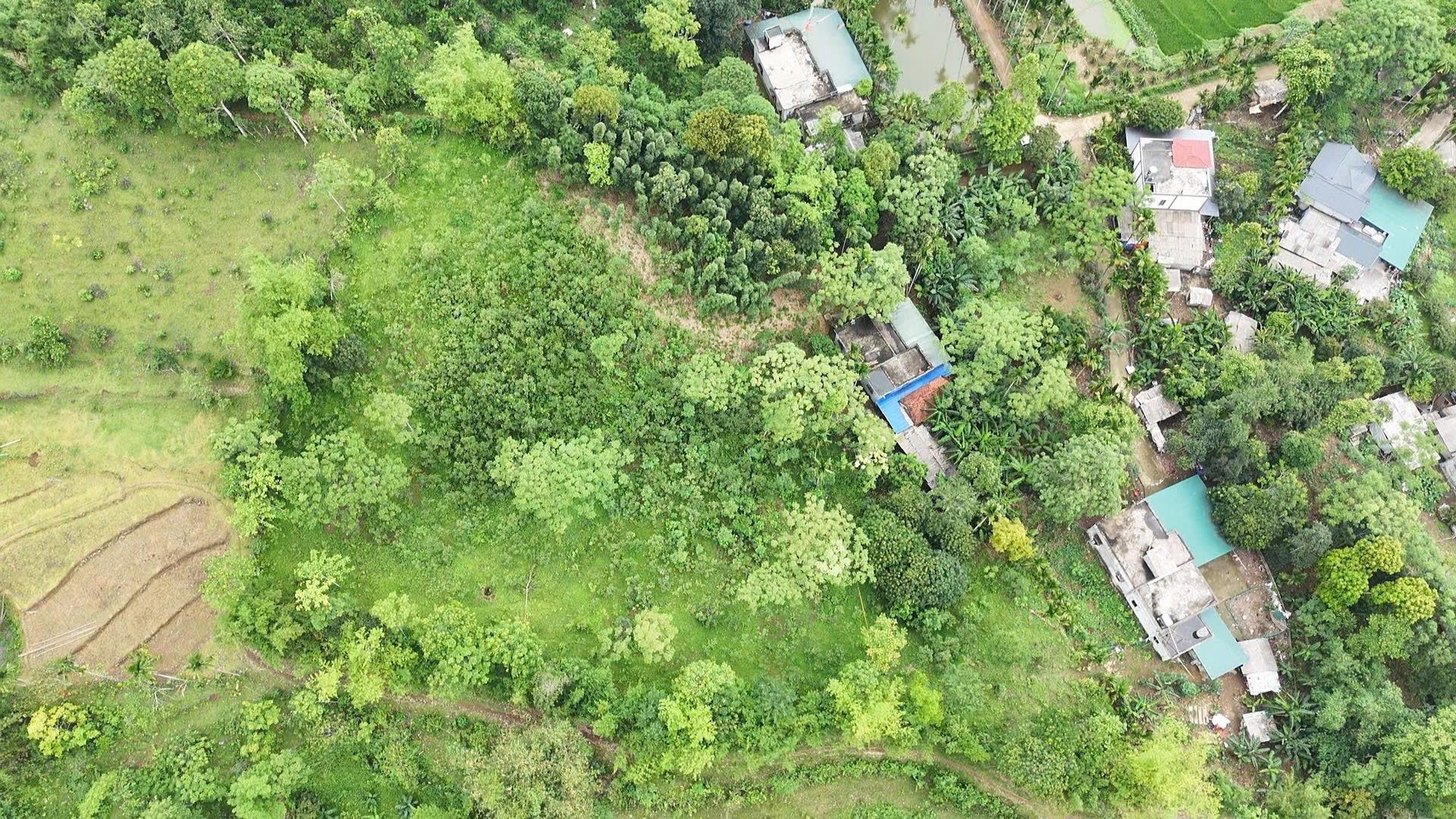 🔥 CẮT LỖ SÂU – 4.000M² ĐẤT NGHỈ DƯỠNG TẠI KIM BÔI – HÒA BÌNH 🔥 - Ảnh 1