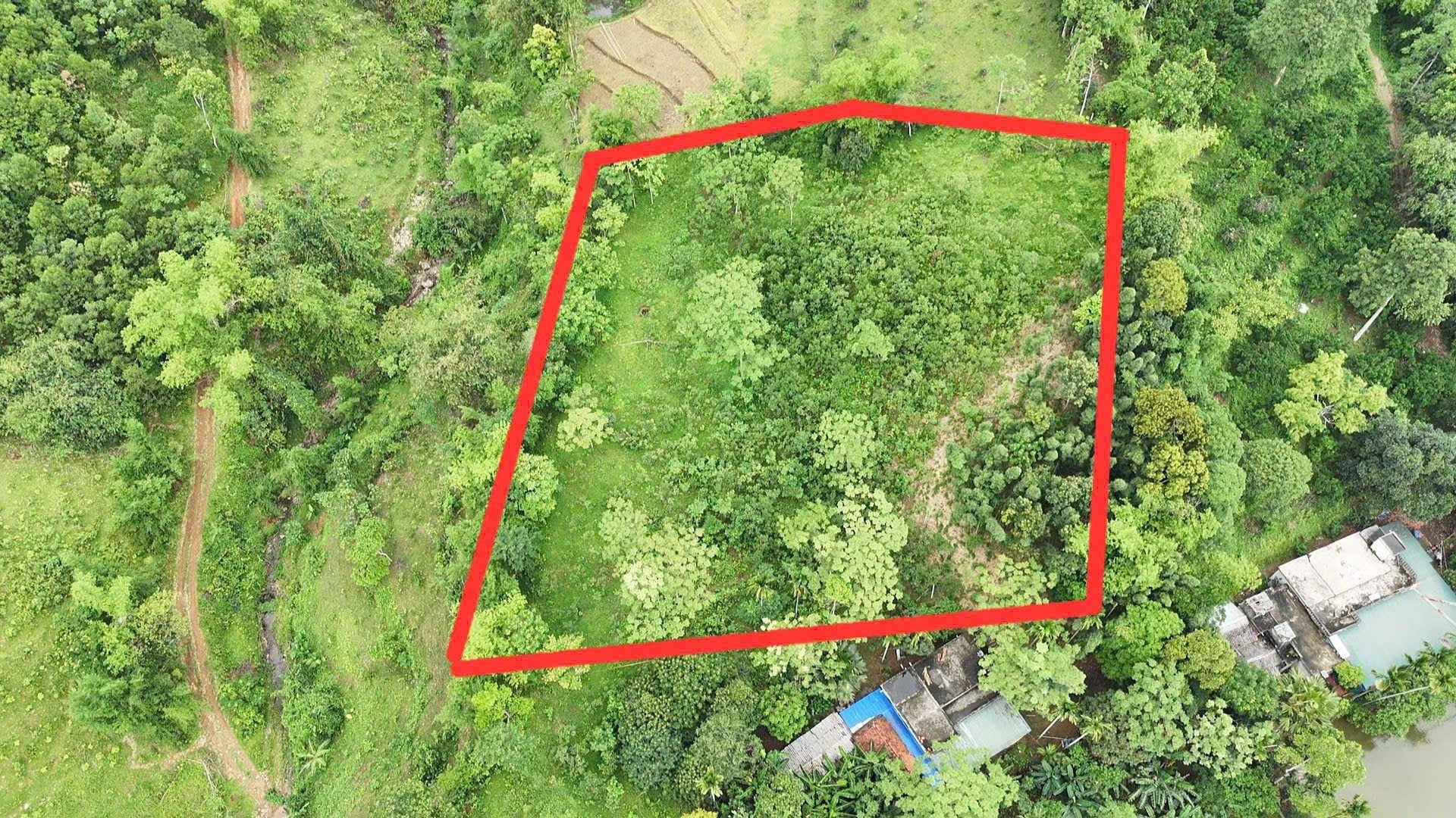 🔥 CẮT LỖ SÂU – 4.000M² ĐẤT NGHỈ DƯỠNG TẠI KIM BÔI – HÒA BÌNH 🔥 - Ảnh 2