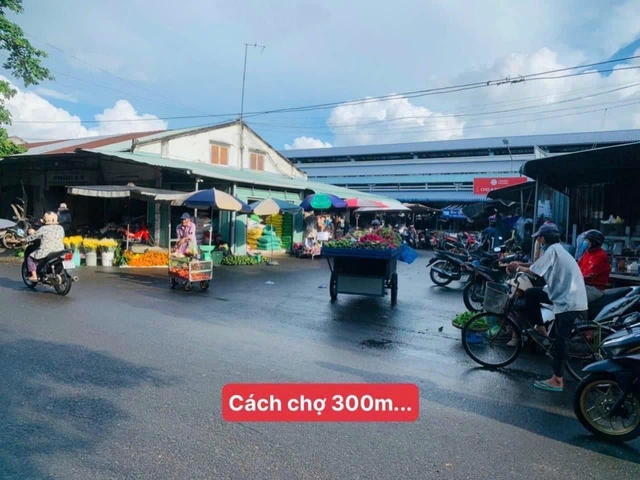 CẦN TIỀN BÁN NHANH 3200M2 ĐẤT SỔ RIÊNG NGAY KCN LỚN GẦN CHỢ DÂN ĐÔNG. GIÁ 160TR/SỔ - Ảnh 2