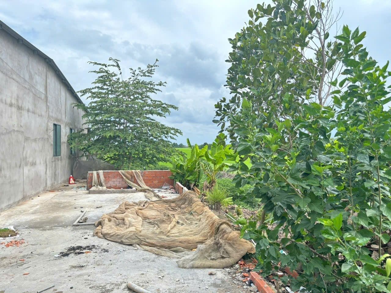 Bán Nhà riêng 1928.8m2 có sẵn 258 m2 thổ cư giá 1.95 tỷ tại Xã Hậu Thạnh Đông Huyện Tân Thạnh Long An - Ảnh 7