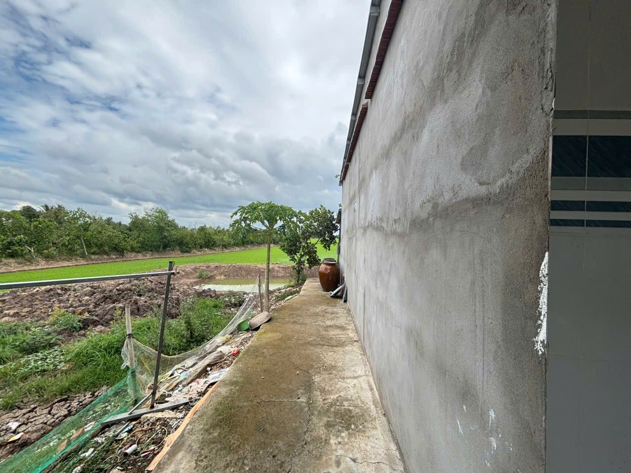 Bán Nhà riêng 1928.8m2 có sẵn 258 m2 thổ cư giá 1.95 tỷ tại Xã Hậu Thạnh Đông Huyện Tân Thạnh Long An - Ảnh 12
