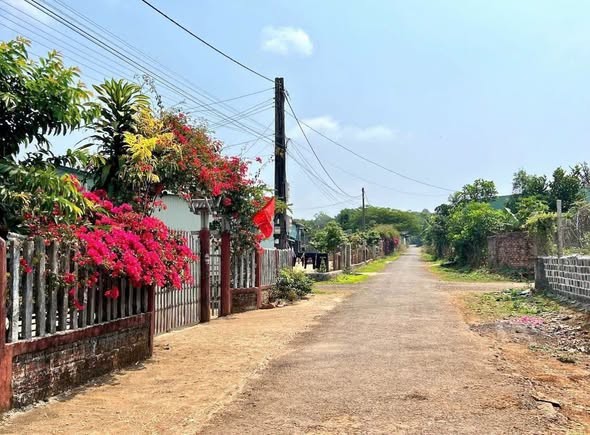 ✔️✔️gảm sâu 100triẹu lô Đồi thông hẻm chính luật sư.khu dân cư