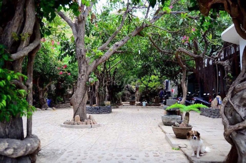 Gia đình cần bán mảnh đất