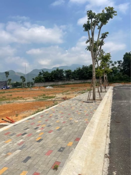 🔥🔥 HÀNG ĐẸP THÁI LONG – TDP 1, PHƯỜNG BÌNH THUẬN 🔥🔥