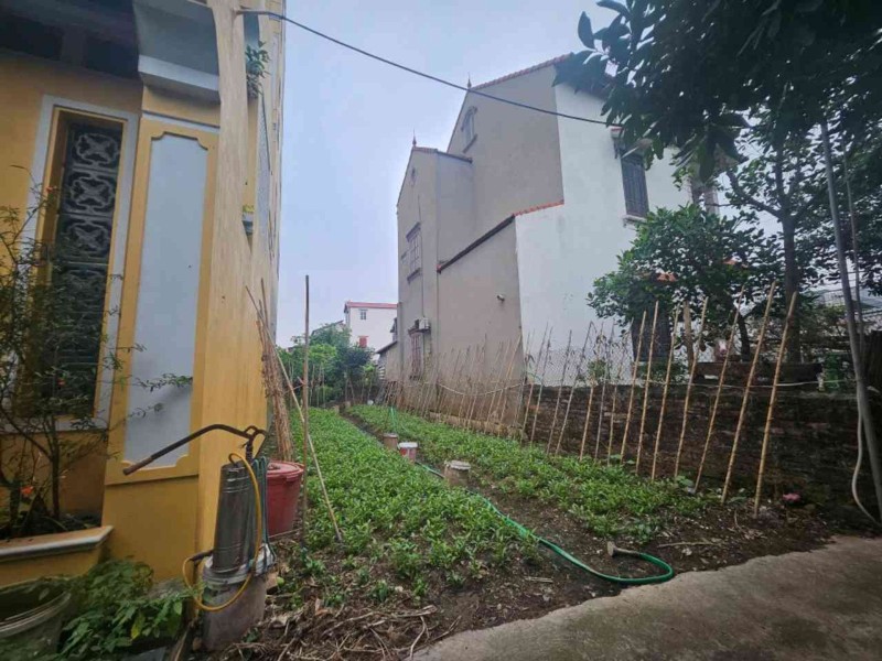 hàng xóm pvf, đan kim- văn giang, diện tích 76m2, nhỉnh 3 tỷ