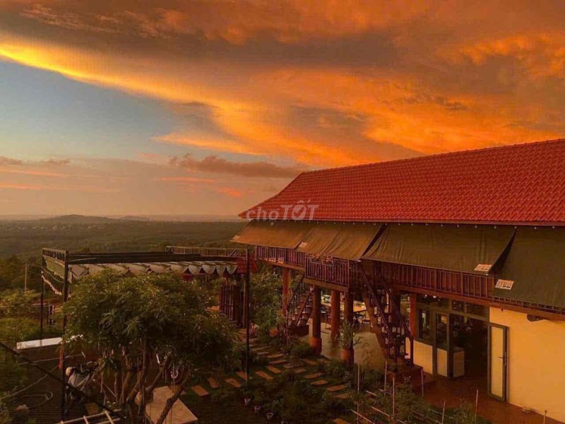 Homestay view đồi hoàng hôn cuối Nguyễn Hữu Thấu 17x20m