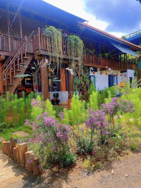 Homestay view đồi hoàng hôn cuối Nguyễn Hữu Thấu 17x20m giá 7,9 tỷ