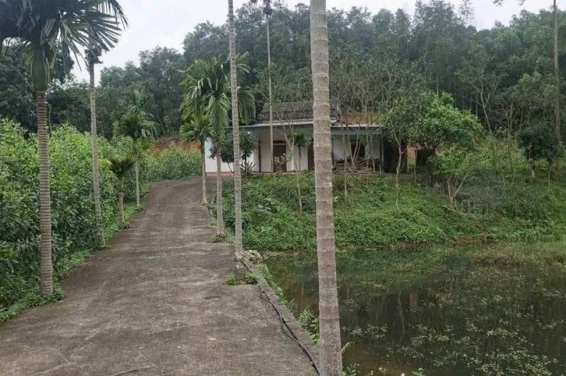 Hơn 1 Tỷ chút 🌹Cần bán gấp Cả nhà Ao cá và đất. Diện tích 7.500m .