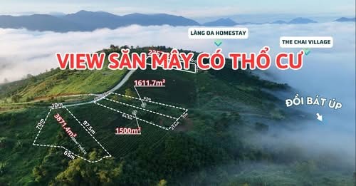 🔥VIEW SĂN MÂY CÓ THỔ CƯ🔥